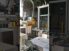 কার্টনের জন্য TAEMS রোবট প্যালেটাইজার সিস্টেম